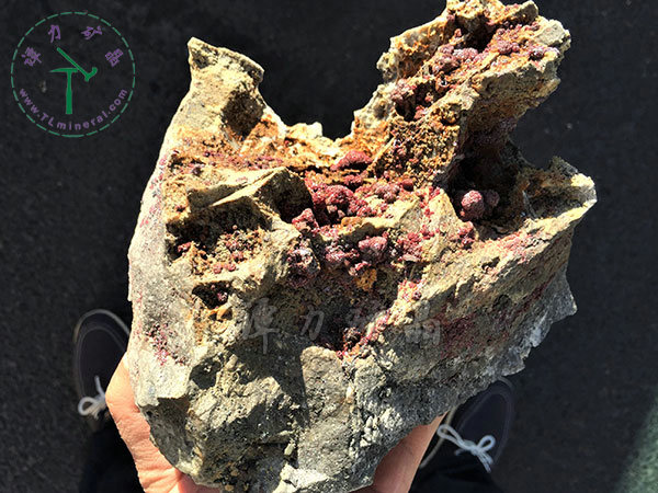 淡紅銀礦，摩洛哥，瓦爾扎扎特，