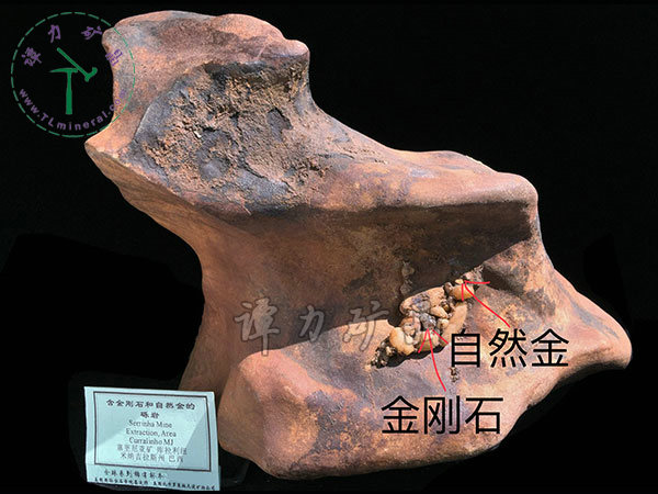 含金剛石和自然金的礫巖，巴西，米納斯吉拉斯州