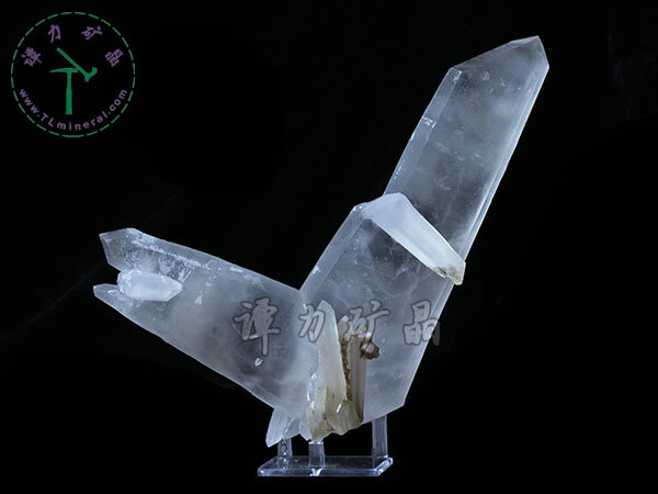 日本律雙晶，內(nèi)蒙古內(nèi)蒙古，東烏珠穆沁旗，額仁高畢,六井,976層,2016年產(chǎn)出