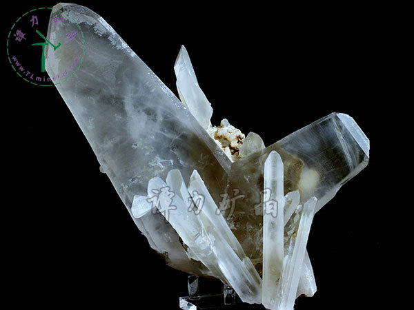 日本律雙晶，內(nèi)蒙古東烏珠穆沁旗，額仁高畢,六井,976層,2016年產(chǎn)出