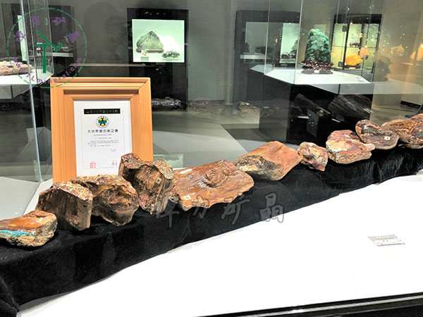 基尼斯之最-歐泊王，210cm,澳大利亞