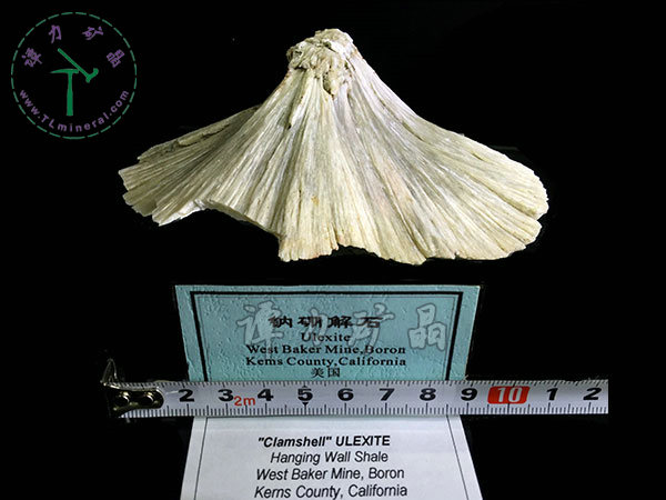 硼酸鹽--鈉硼解石12x4x8cm-美國(guó)