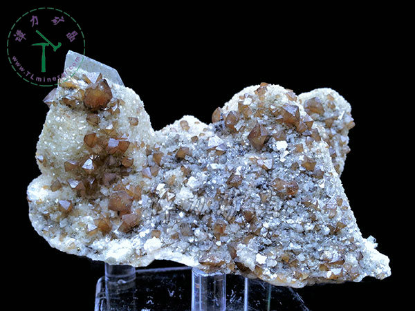 鎢酸鹽--白鎢礦，14x10x4cm-瑤崗仙鎢礦