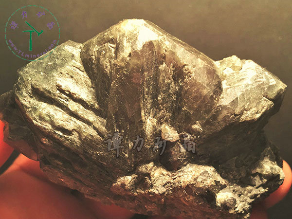 亞歷山大石（變石）輪式雙晶+津巴布韋，12x10x5.0(鎢絲白熾燈下拍攝)