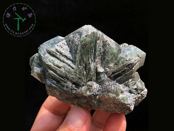 亞歷山大石（變石）輪式雙晶+津巴布韋，12x10x5.0(陽光下拍攝)