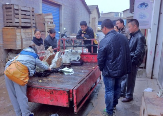 長(zhǎng)沙市譚力礦產(chǎn)品有限公司,長(zhǎng)沙礦產(chǎn)品銷(xiāo)售,工藝品銷(xiāo)售,鉆石飾品批發(fā)